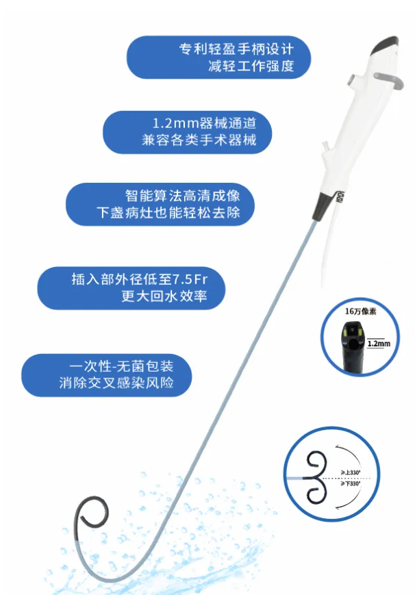 正版香港全年资料